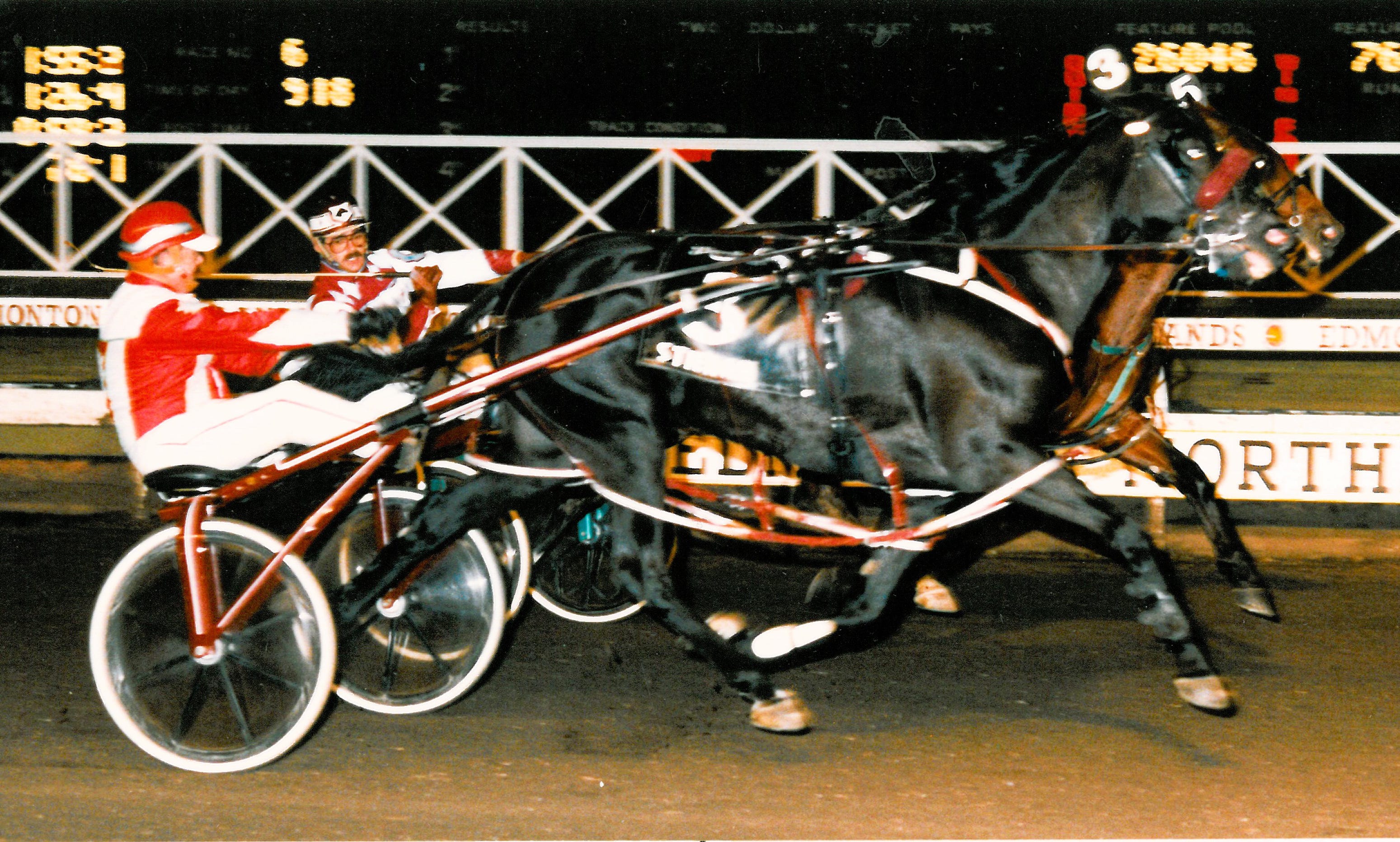 Harness For four decades, Stienam is the gift that keeps on giving